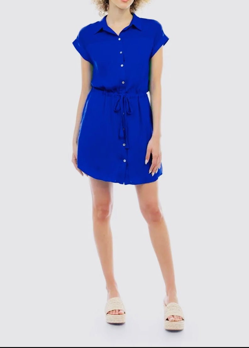 Dara Button Down Mini Dress
