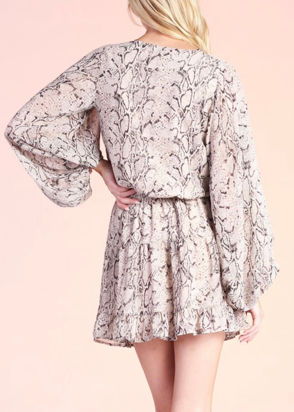 Wrenley Chiffon Balloon Sleeve Dress