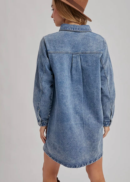 Luci Denim Button Down Dress