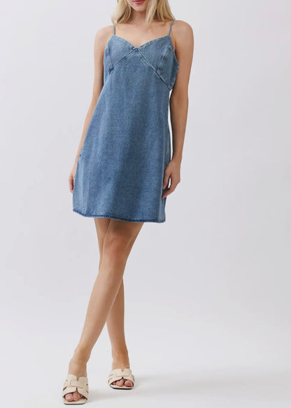 Good On You Denim Dress