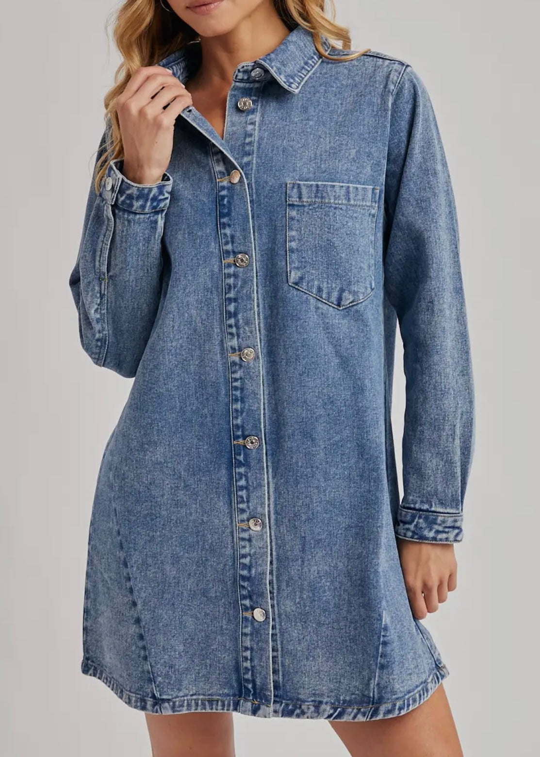 Luci Denim Button Down Dress