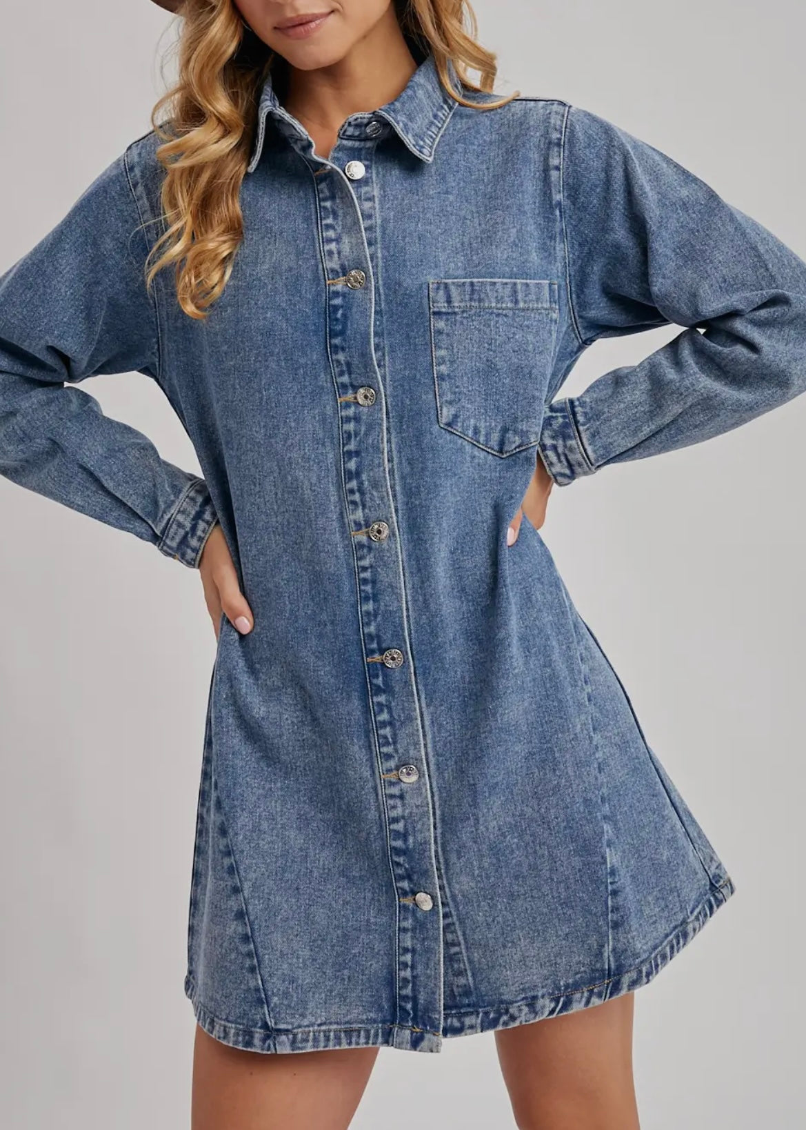 Luci Denim Button Down Dress
