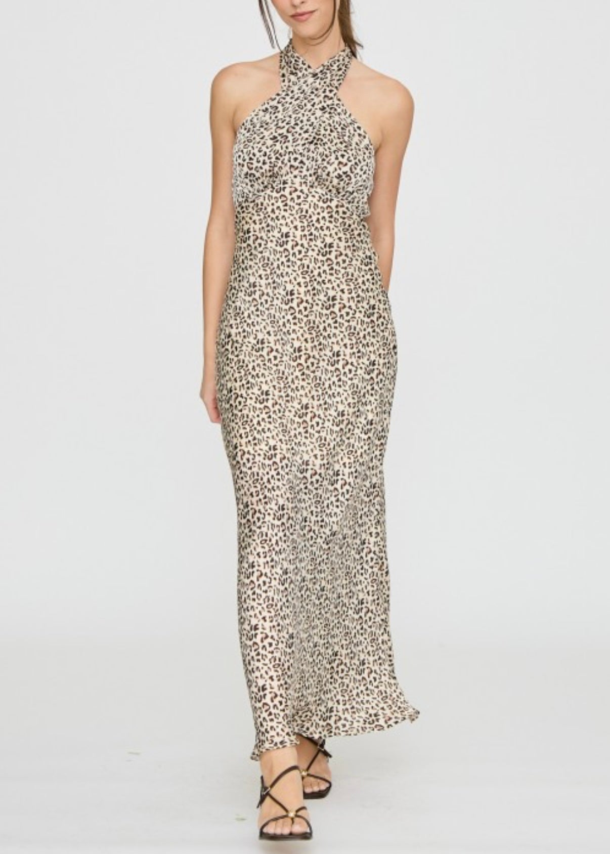Picturesque Leopard Maxi Dress